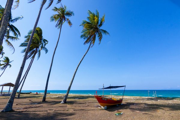 Quels sont les meilleurs circuits pour une randonnée dans les montagnes de l'Himalaya, Inde?
