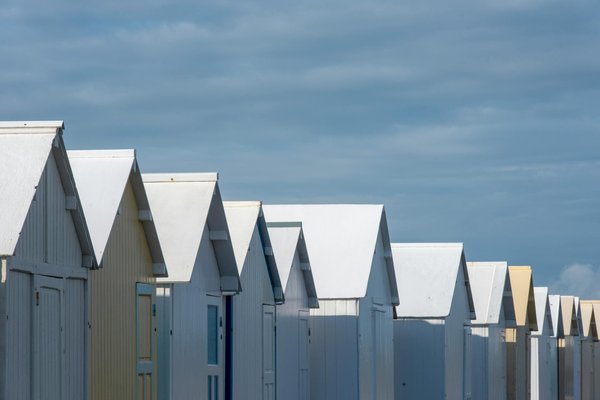 Quels sont les meilleurs conseils pour un camping en région de forêt humide avec observation des oiseaux?